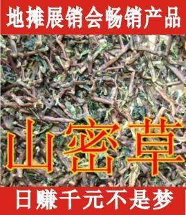 山密茶批发【湖南山密茶批发厂家】_食品、饮料_世界工厂网